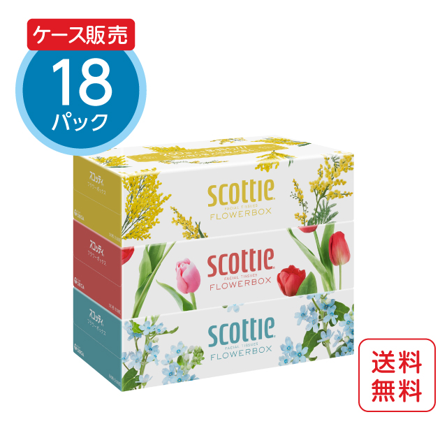 スコッティ ティシュー フラワーボックス 250組（3箱パック）×18パック【ケース販売】