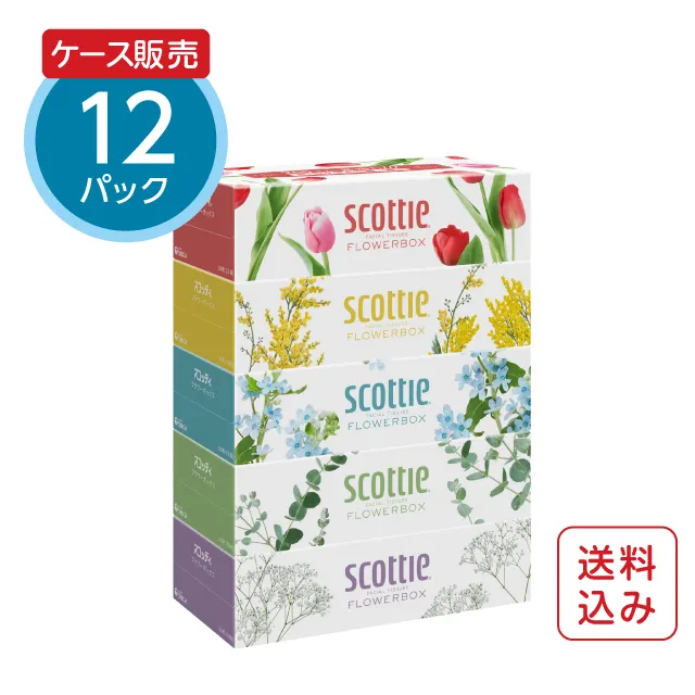 スコッティ ティシュー フラワーボックス 250組（5箱パック）×12パック
