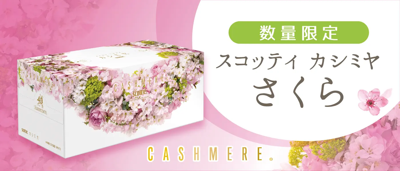 スコッティカシミヤさくら