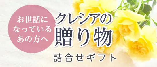 クレシアの詰合せギフト 梱包やのし、口コミについての説明です